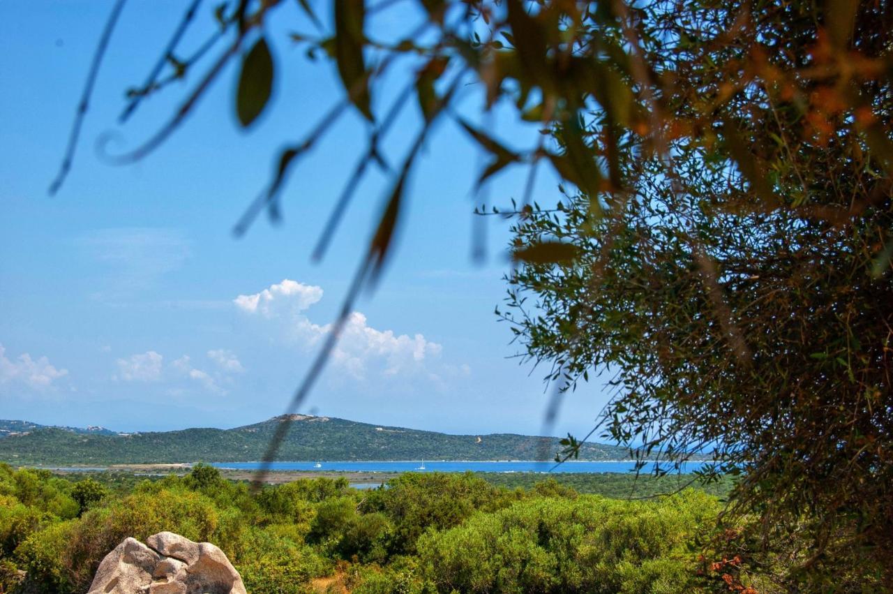 Massidda Country Retreat Villa Santa Teresa Gallura Kültér fotó